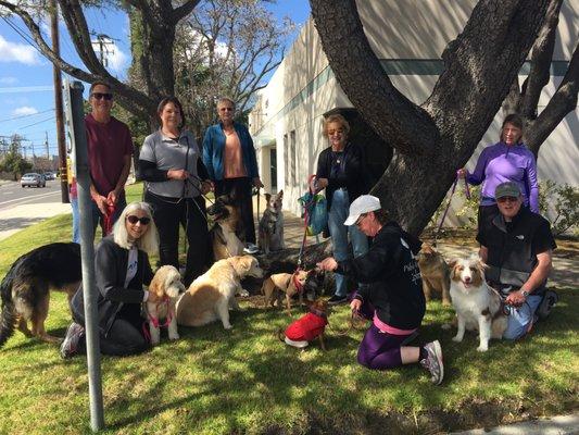 Pack Walk Start