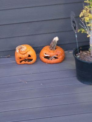 Rotten pumpkins