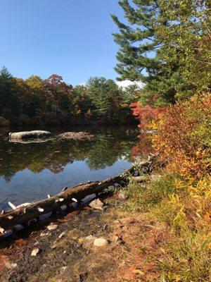 Autumn wonder at Pierce Lake.