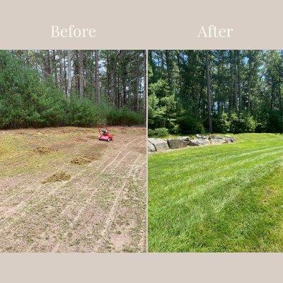 Before and after grass renewal project