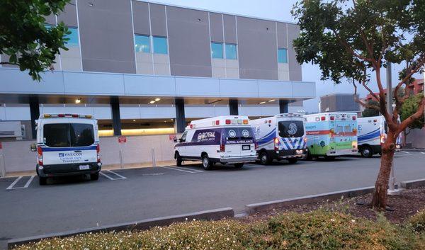 Ambulances at the ER