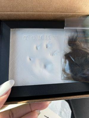 Tommy's paw print and ear tuffs