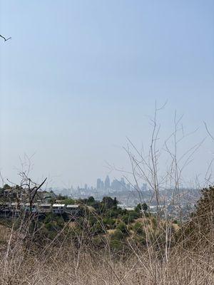 View of DTLA