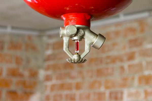 Fire Sprinkler