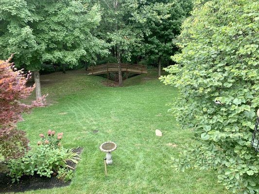 Our backyard is becoming beautiful thanks to L&K Landscaping!