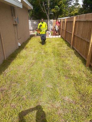 Bahia sod install