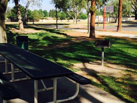 Picnic and BBQ setup.