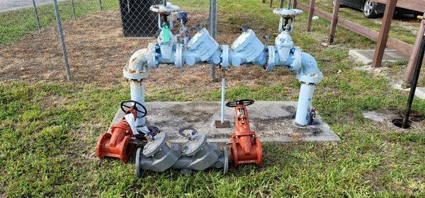 Backflow replacement