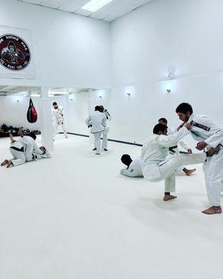 Brazilian JiuJitsu(BJJ) 101 Class