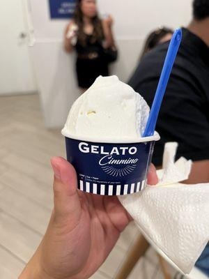 Yummy gelato, best coconut I've had