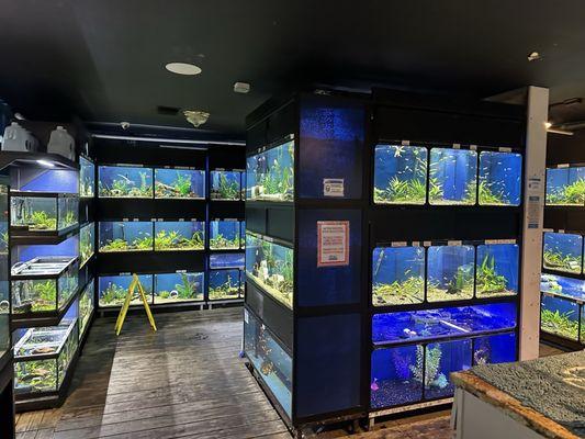 The Reef Aquarium Shop