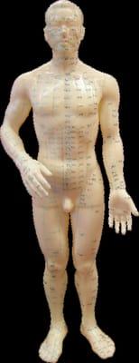 Jing Luo Doll showing the acupuncture channels in the body.