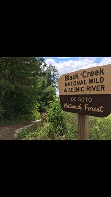 Black Creek is Mississippi's only National Wild & Scenic River