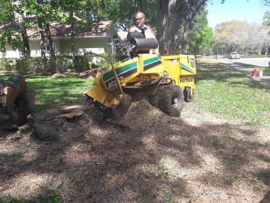 You have the option to add on stump grinding so you can make it appear there was never a tree there in the first place.