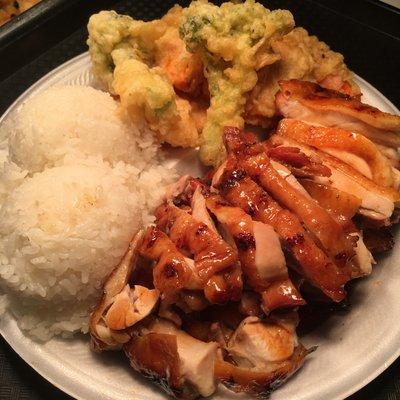 Chicken Teriyaki Plate (Dark)