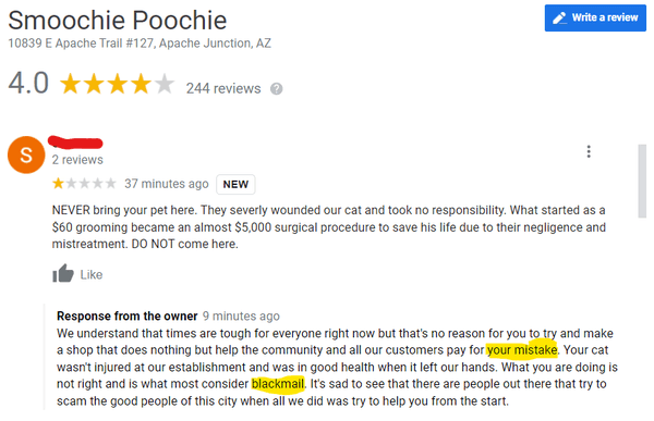 The owner's response to our Google review.