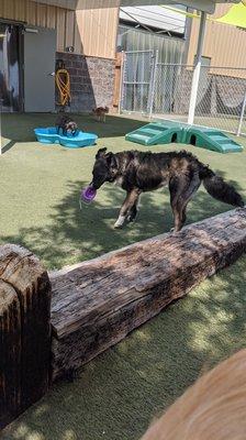 Play time after having his birthday party at Escape the Crate