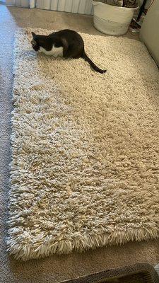 Nice clean wool rug