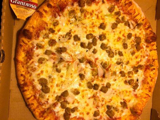 Large size sausage and onion pizza