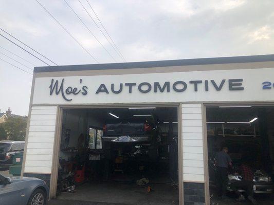 Moe's shop