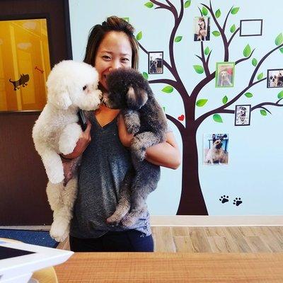 one of our happy customers & her groomed pups