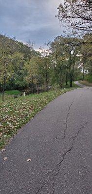 The beginning signs of fall along the trails.