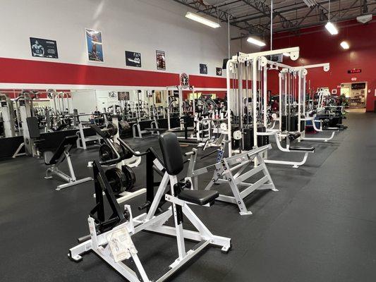 Some of our cable machines, Back and Lat Equipment, and Chest equipment for Back Day, Chest Day.