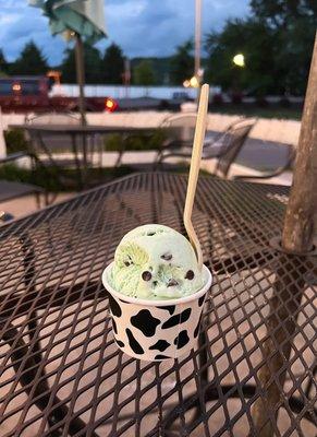 Ice Cream: Green Mint Chip