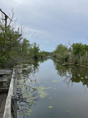 Marshy overlook