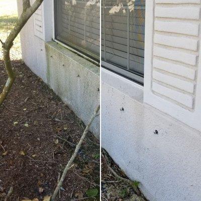 Tough mold and grime can be removed with a light pressure cleaning on your house