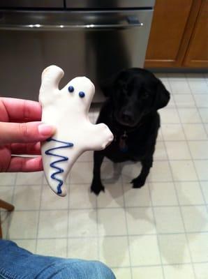 One happy pup, ghost cookie from Animal Outfitters!