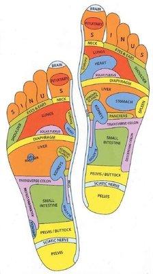 Foot Reflexology points