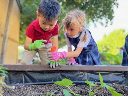 We take KinderGARDEN seriously -- they manage a real garden.