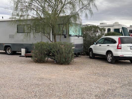 Nice site with a tree and a bush. Plenty of room to park my car in front.