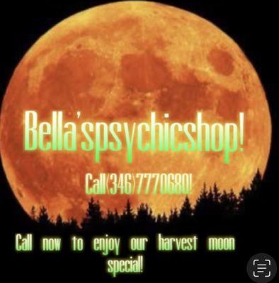 Bella's Psychic Shop