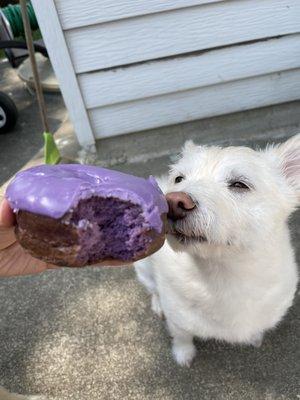 Ube raised donut