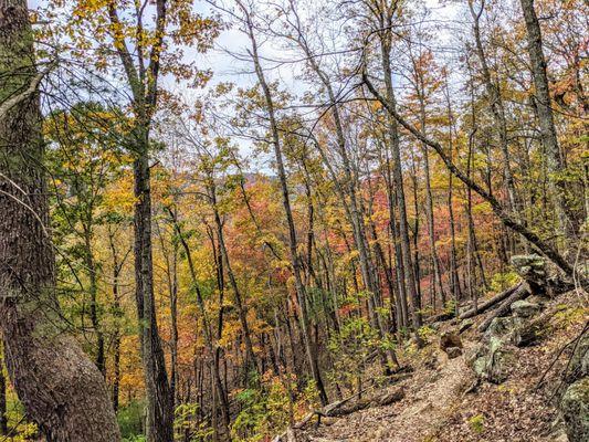 Chestnut Knob Trail