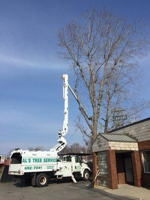 Tree removal in Kenmore, NY.