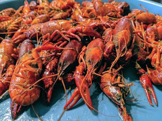 Crawfish