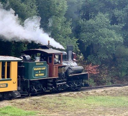 Roaring Camp in Felton