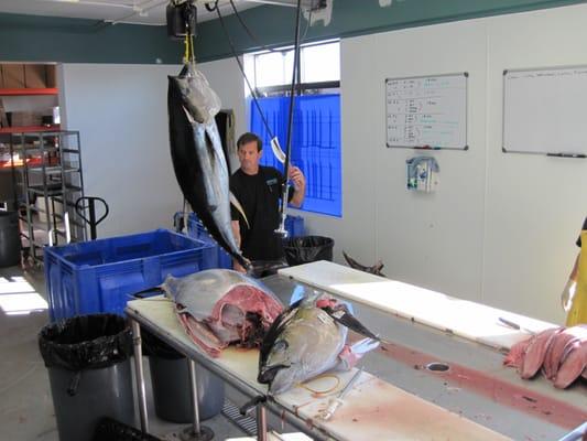 Using the joist to load the table with fish - gentle handling of your catch for a better final product.