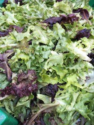 mixed lettuces