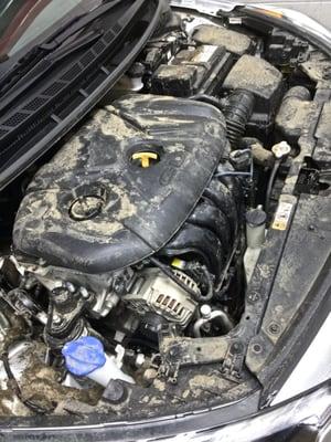 2014 Kia Forte Engine - Before Detailing