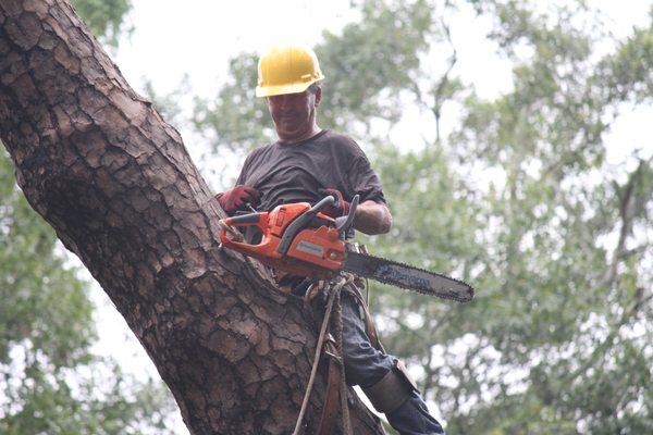 Coast to Coast Tree Service