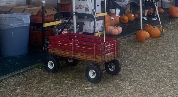 Wagons provided to hold your pumpkins