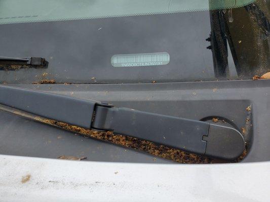 A Dirty truck that was supposedly washed at Honey Sheep's Car Wash on Old Spanish Trail in Houston.