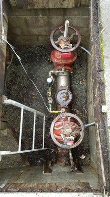 Fire line backflow in vault