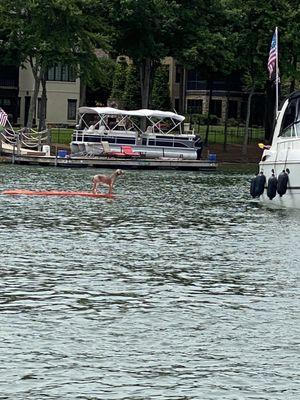 Check out the dog on the float. So sweet ... although he had enough - jumped off and swam back to the boat.