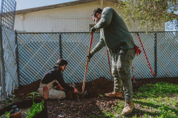 The Hood Arborists