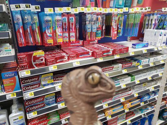 Bob the Raptor says "These mammals sell stuff to clean your teeth and claws!"